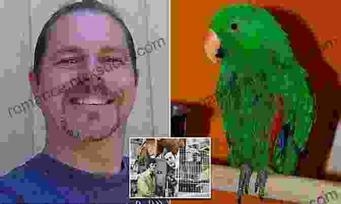 A Man Suing His Parrot In Court Law S Strangest Cases: Extraordinary But True Tales From Over Five Centuries Of Legal History