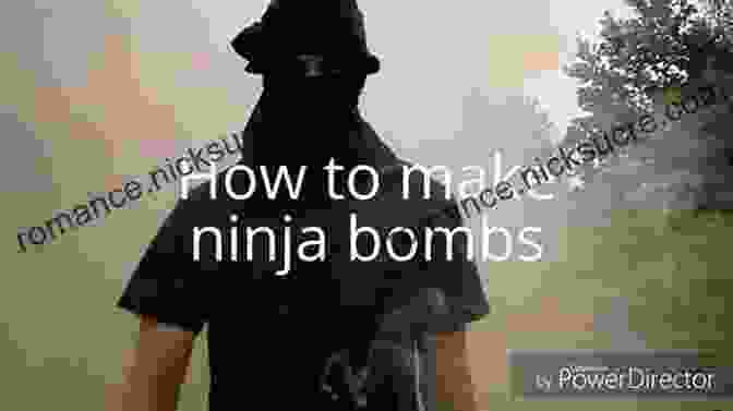 A Ninja Using A Smoke Bomb Ninja Mercenary Art With 100 Shinobi Photos