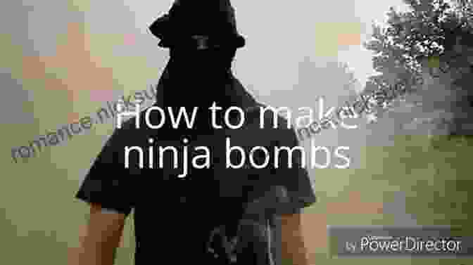 A Ninja Using A Smoke Bomb Ninja Mercenary Art With 100 Shinobi Photos