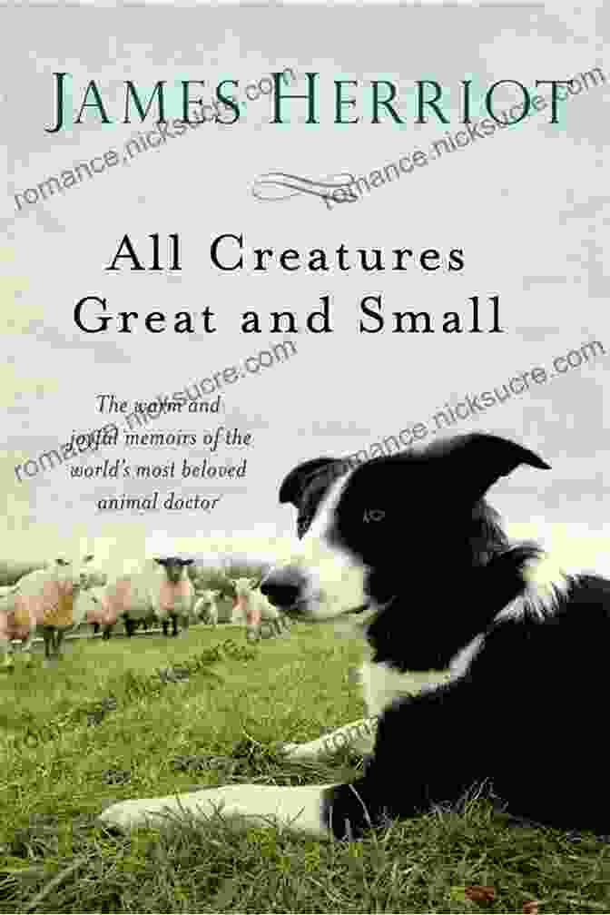 All Creatures Great And Small Book Cover Featuring A Veterinarian Examining A Dog The Saturday Morning Park Run: The Most Gloriously Uplifting And Page Turning Fiction Of The 2024 (Yorkshire Escape 1)