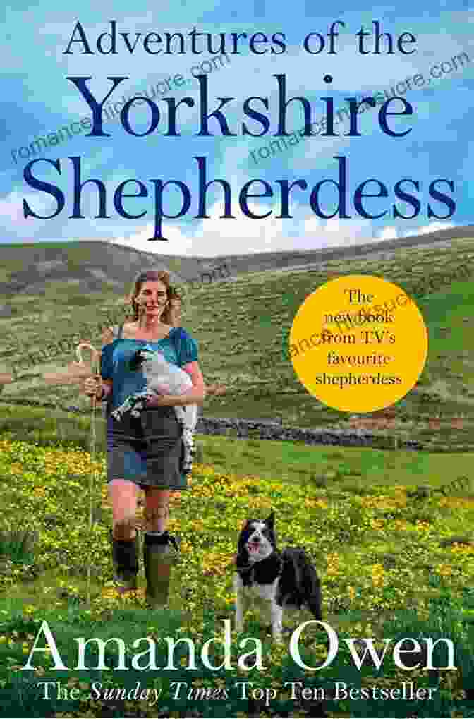 The Yorkshire Shepherdess Book Cover Featuring A Woman Standing In A Field With A Flock Of Sheep The Saturday Morning Park Run: The Most Gloriously Uplifting And Page Turning Fiction Of The 2024 (Yorkshire Escape 1)