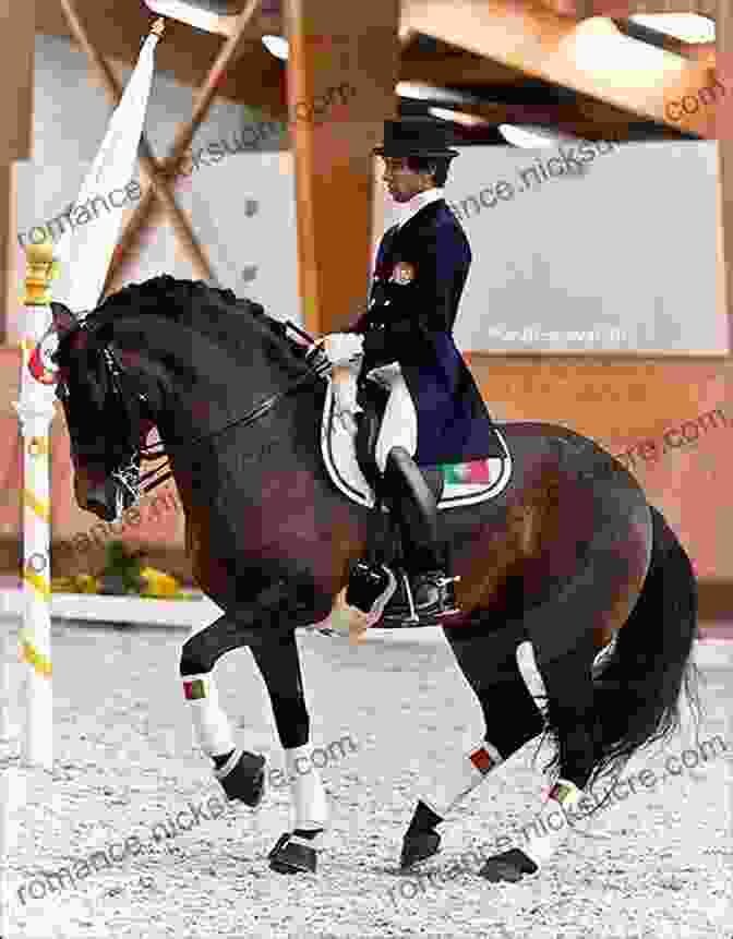 Young Dressage Rider Performing A Graceful Routine With Her Horse Florida Equine Athlete: July 2024