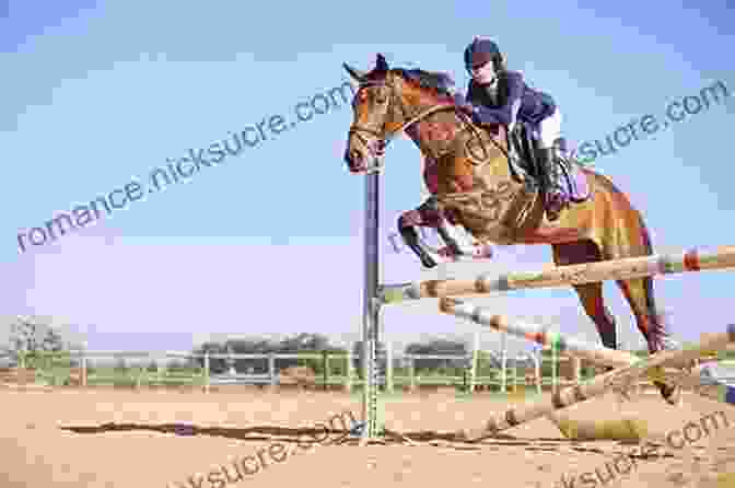 Young Jumping Rider Soaring Over An Obstacle With His Horse Florida Equine Athlete: July 2024