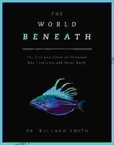 The World Beneath: The Life and Times of Unknown Sea Creatures and Coral Reefs