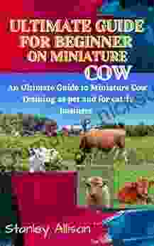 Ultimate guide for beginner on miniature cow: An Ultimate Guide to Miniature Cow Training as pet and for cattle business