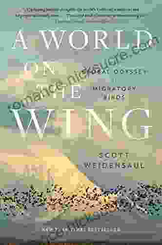 A World On The Wing: The Global Odyssey Of Migratory Birds